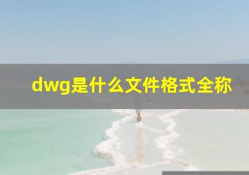 dwg是什么文件格式全称