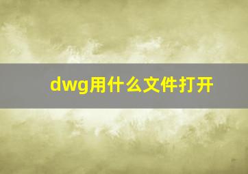 dwg用什么文件打开