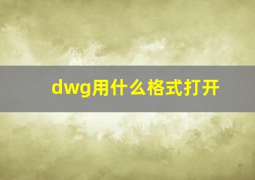 dwg用什么格式打开