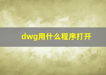 dwg用什么程序打开