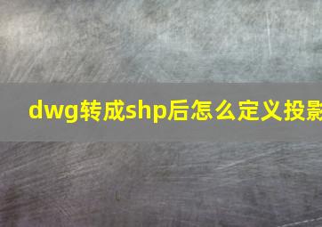 dwg转成shp后怎么定义投影