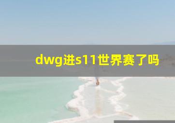 dwg进s11世界赛了吗