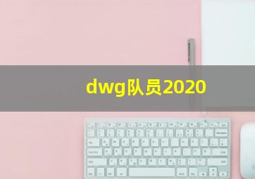 dwg队员2020