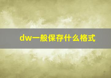 dw一般保存什么格式