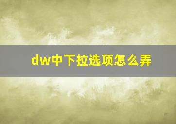 dw中下拉选项怎么弄