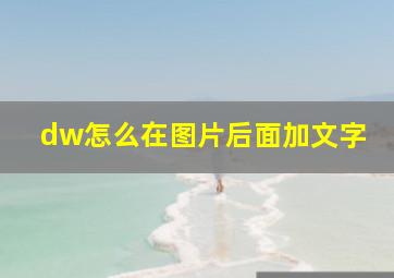 dw怎么在图片后面加文字