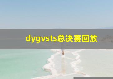 dygvsts总决赛回放