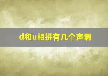 d和u相拼有几个声调