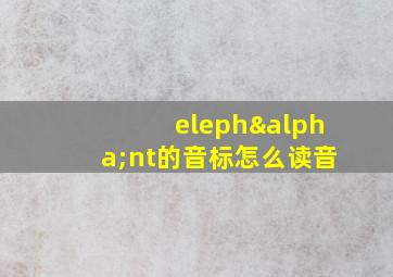 elephαnt的音标怎么读音