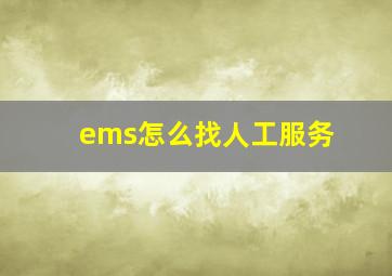 ems怎么找人工服务