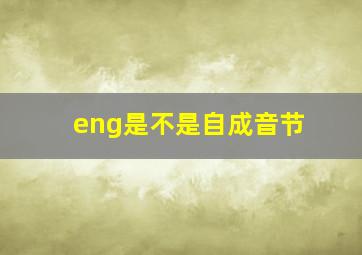 eng是不是自成音节