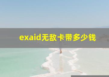 exaid无敌卡带多少钱