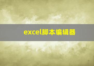 excel脚本编辑器