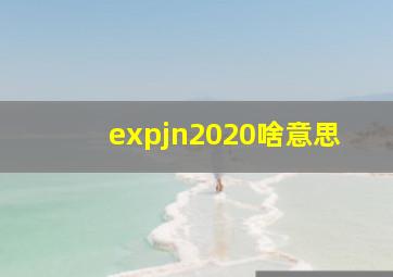 expjn2020啥意思