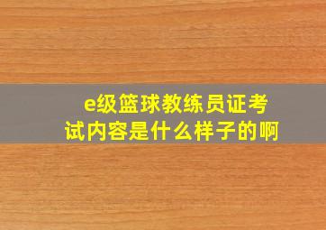 e级篮球教练员证考试内容是什么样子的啊