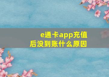 e通卡app充值后没到账什么原因