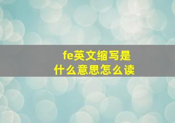 fe英文缩写是什么意思怎么读