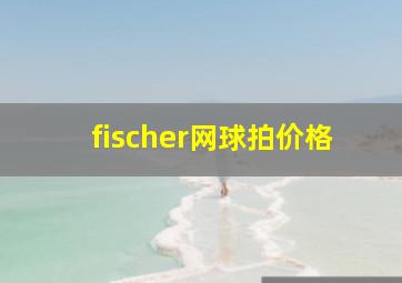 fischer网球拍价格