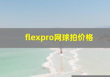 flexpro网球拍价格