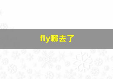 fly哪去了