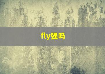 fly强吗