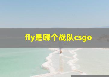 fly是哪个战队csgo