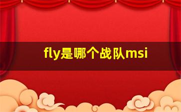 fly是哪个战队msi