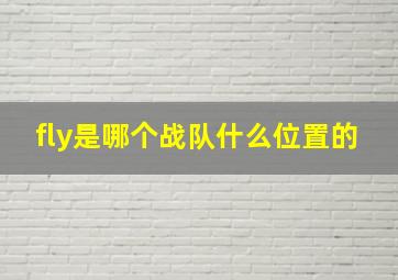 fly是哪个战队什么位置的