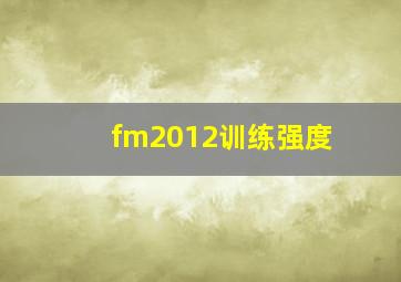 fm2012训练强度