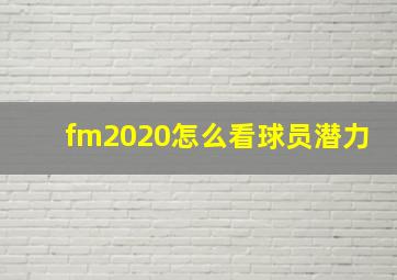 fm2020怎么看球员潜力