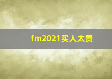 fm2021买人太贵