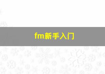 fm新手入门