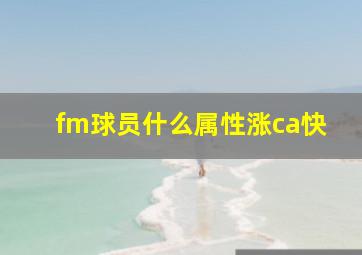 fm球员什么属性涨ca快