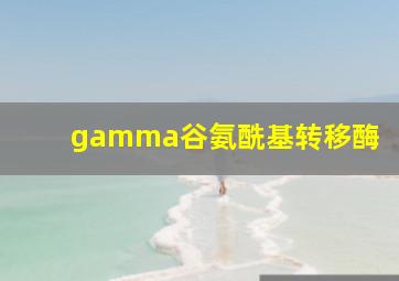 gamma谷氨酰基转移酶