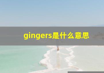 gingers是什么意思