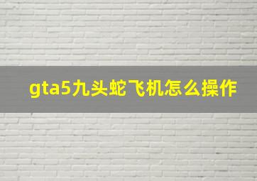 gta5九头蛇飞机怎么操作