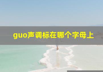 guo声调标在哪个字母上