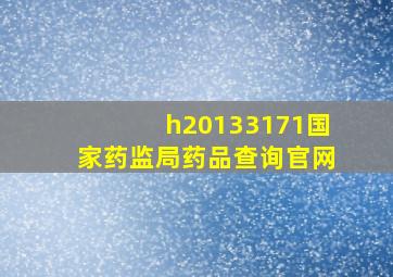 h20133171国家药监局药品查询官网