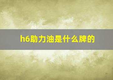 h6助力油是什么牌的