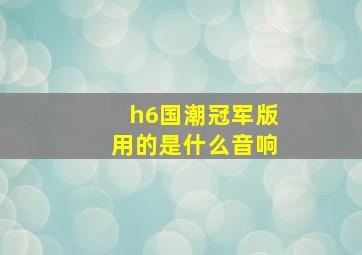 h6国潮冠军版用的是什么音响