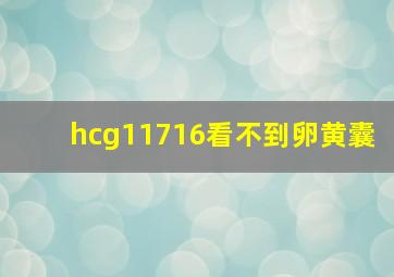 hcg11716看不到卵黄囊