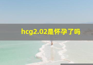 hcg2.02是怀孕了吗