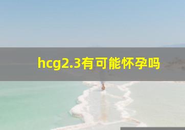 hcg2.3有可能怀孕吗