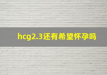 hcg2.3还有希望怀孕吗