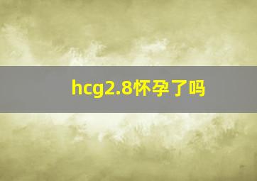 hcg2.8怀孕了吗