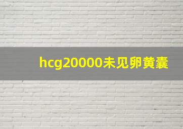 hcg20000未见卵黄囊