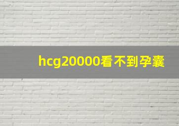 hcg20000看不到孕囊