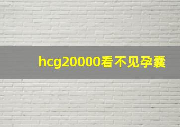 hcg20000看不见孕囊