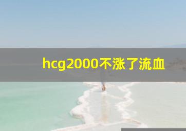 hcg2000不涨了流血