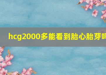 hcg2000多能看到胎心胎芽吗